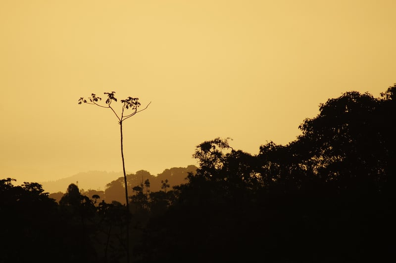 Salento, Colombia